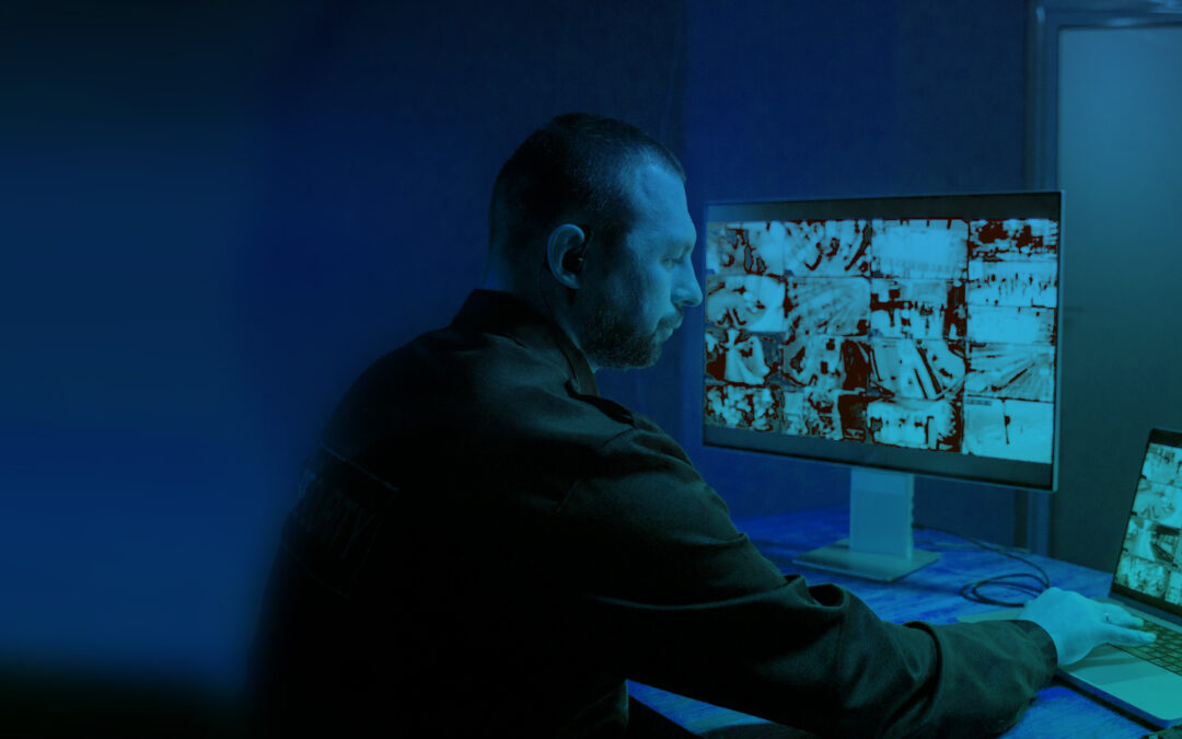 Cómo Elegir un Sistema de Videovigilancia para tu Negocio